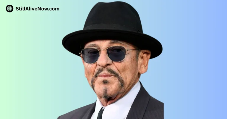 Is Joe Pesci Still Alive_ Actor and Musician Life, Health & Career Update